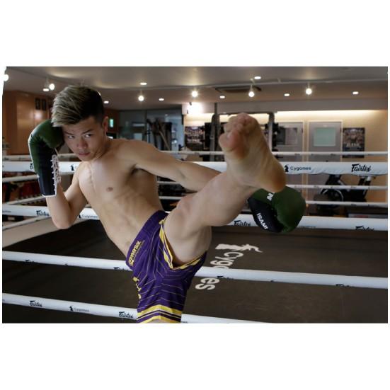 isami イサミ RZ-011 RIZIN キック用グローブ 格闘技 武道 空手 キック