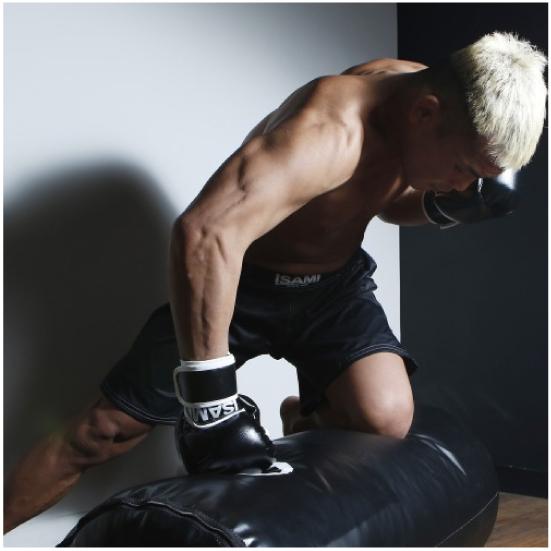 isami イサミ TN-8 パウンドグローブ スパーリング 総合格闘後