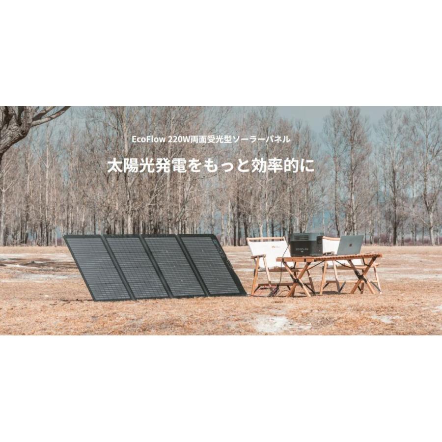 予約】 EcoFlow ソーラーパネル 220W