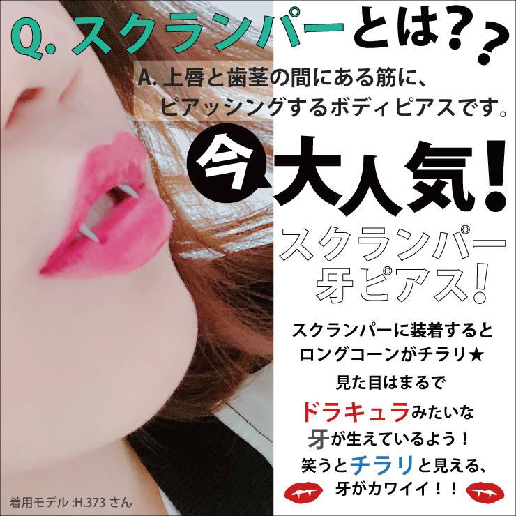 スクランパー ピアス ボディピアス 16G(1.2mm) 14G(1.6mm) ステンレス