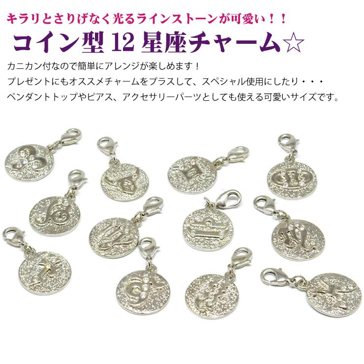 星座チャーム シルバー 12星座 チャーム モチーフ チェーン ストラップ