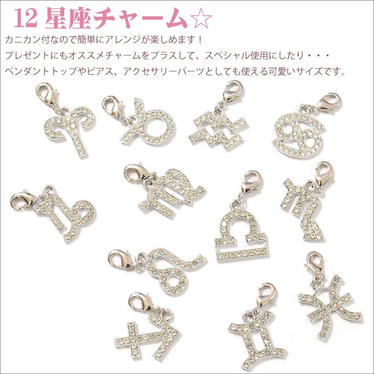 星座チャーム シルバーカラー charm-022 星座モチーフ パーツ チャーム