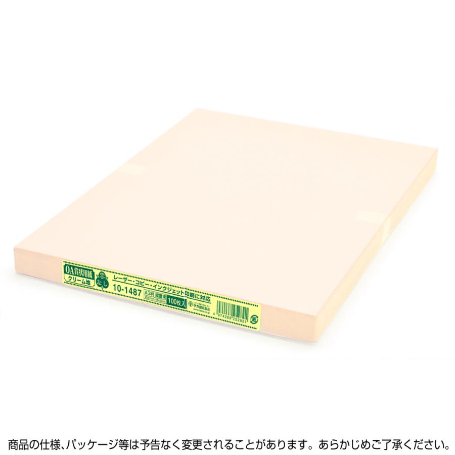 ササガワ タカ印 10-1487 *OA賞状用紙 雲なし クリーム A3判 縦書用