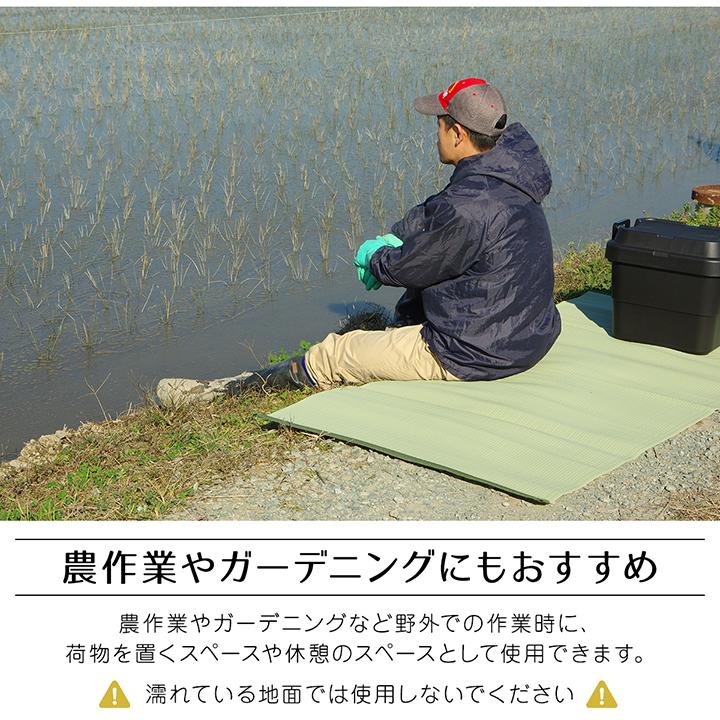 イケヒコ ラグ 洗える 日本製 国産 レジャー 和室 シンプル グリーン 江戸間10畳(約435×352) 2112209