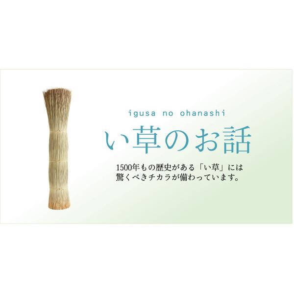 イケヒコ 純国産 柳川段通 四重織 い草ラグカーペット 『ラスター』 レッド 約191×250 8228080｜freedomss｜13