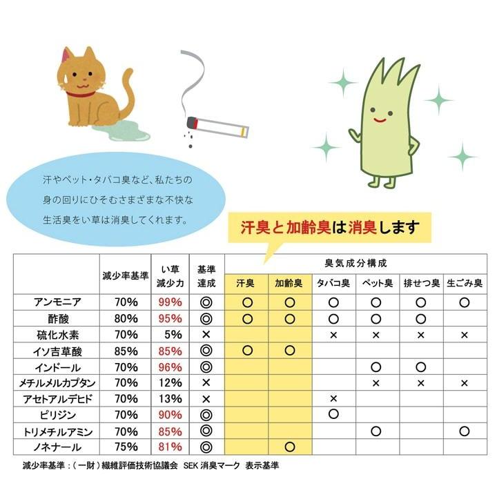 玄関 マット 室内 日本製 国産 い草 自然素材 グラデーション カジュアル 【ベージュ】 約60×90 8819860 | イケヒコ | 05
