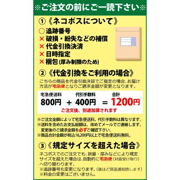 ロムアンド ベア ウォーター クッション # 03 ナチュラル21 SPF38 PA+++ 20g クッション ファンデーション クッションファンデ つや感 韓国コスメ rom&nd｜freefeel｜02