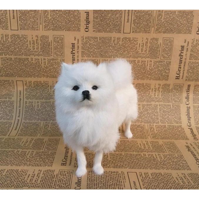 ぬいぐるみ 犬 リアルな白いポメラニアン Ys Free Goods 通販 Yahoo ショッピング