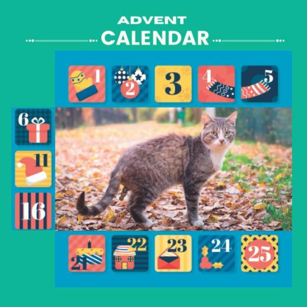 advent-calendar-2023-funny-advent-calendar-book-contains-25-awesome