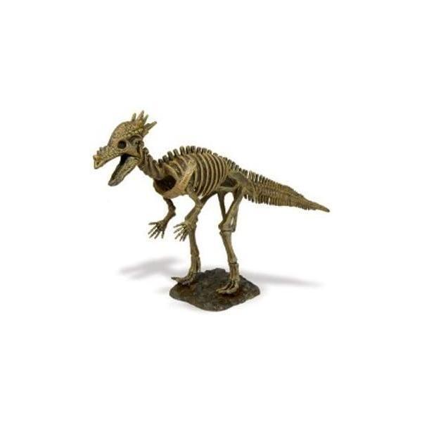 恐竜骨格標本発掘キット スティギモロク｜freejia｜03