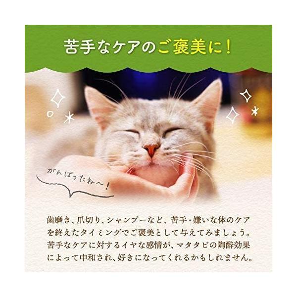 猫用 天然 100％ マタタビ 乾燥 枝 おもちゃ しつけ つめとぎ 無添加 安心 九州産 (10ｇ) (10ｇ)｜freejia｜05