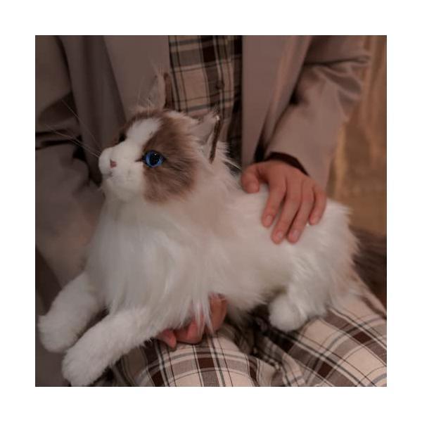 Chongker 猫ぬいぐるみ リアル やさしい手触り，可愛く柔らかく癒しネコ (ラグドール)｜freejia｜04