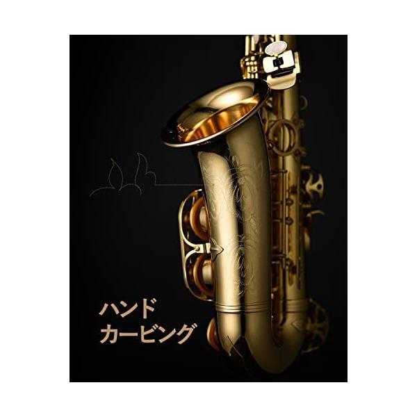 Eastar アルトサックス サックス 12点セット bE Eフラット Eastar アルトサックス サックス 12点セット bE Eフラット