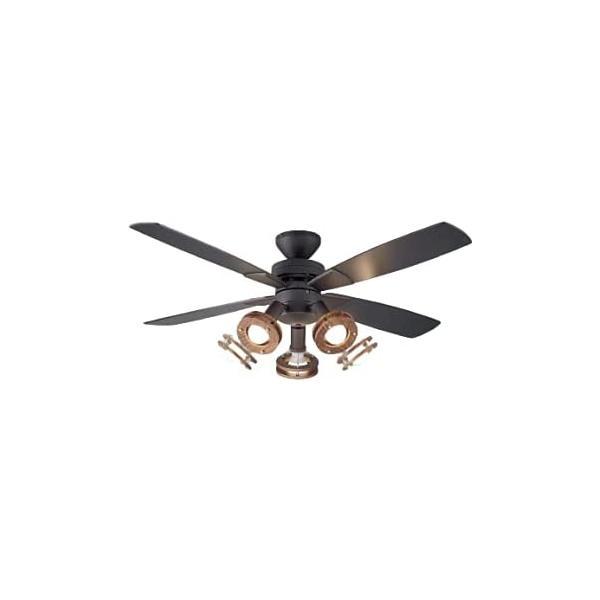 大光電機(DAIKO) LED シーリングファン 灯具可動 LED電球