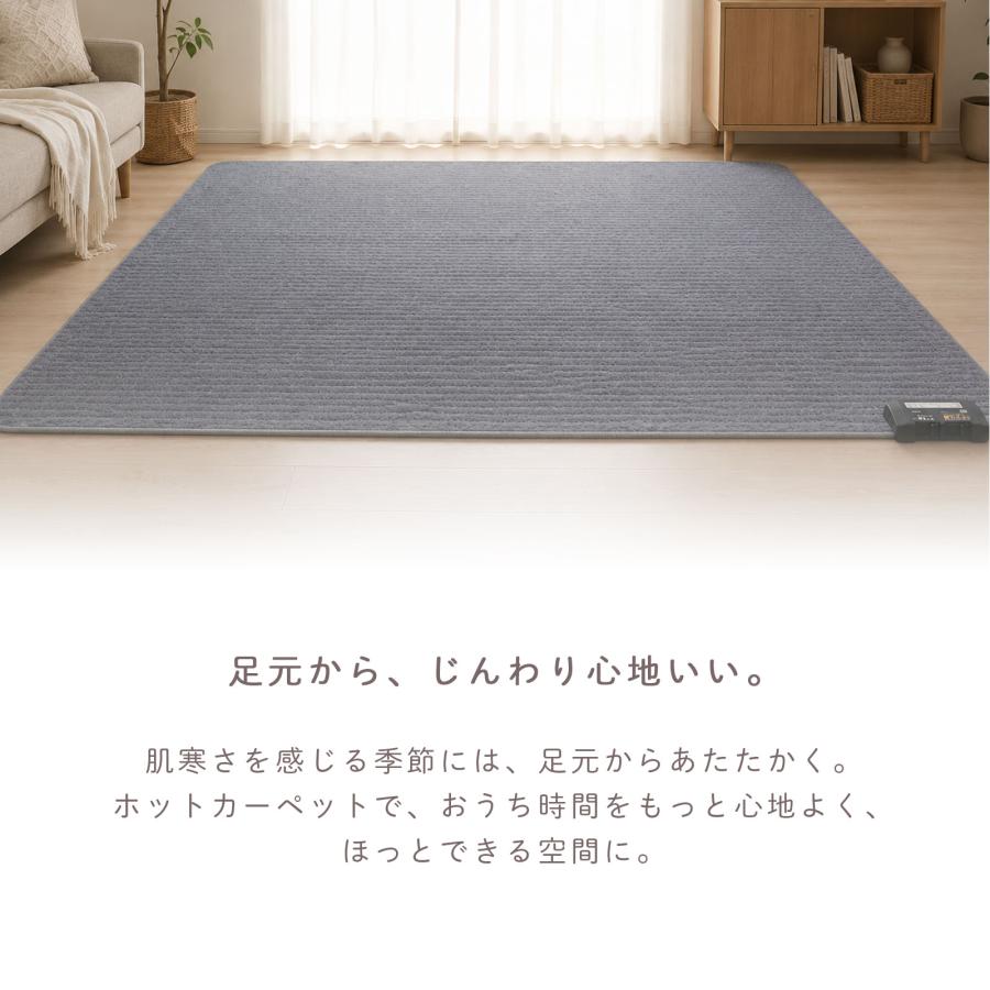 広電（KODEN） ホットカーペット 168×168 電気カーペット 2畳 自動