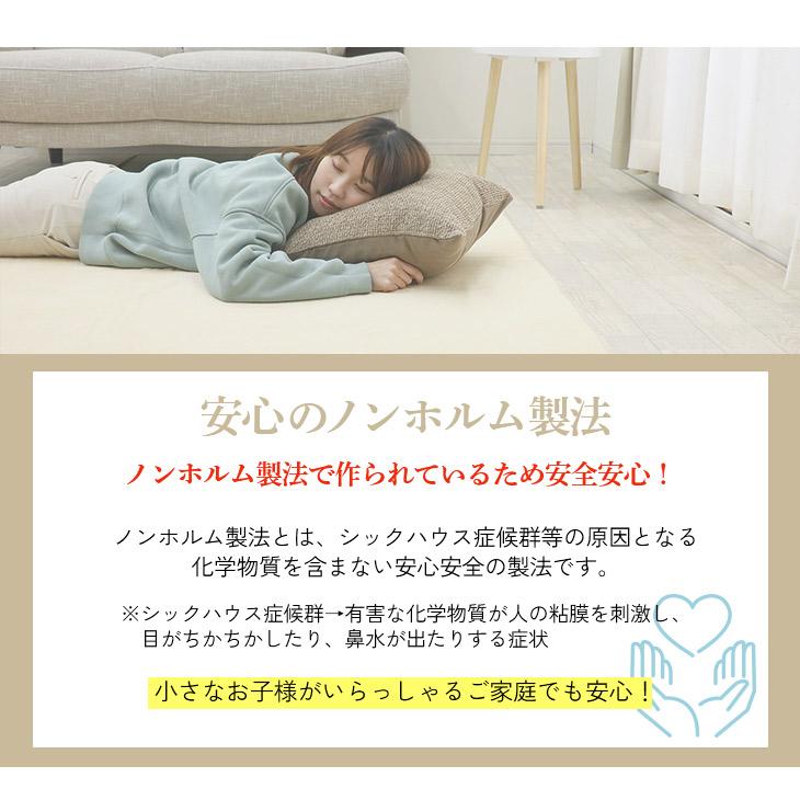 ラグ カーペット ラグマット 洗える 3畳 200×250 オールシーズン おしゃれ 秋 冬 北欧  絨毯 抗菌 防ダニ フリーリー | フリーリー | 53