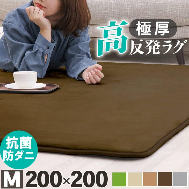 フリーリー ラグ カーペット 厚手 高反発ラグ 極厚 25mm 200×200 フリーリー ラグ カーペット 厚手 高反発ラグ 極厚 25mm 200×200