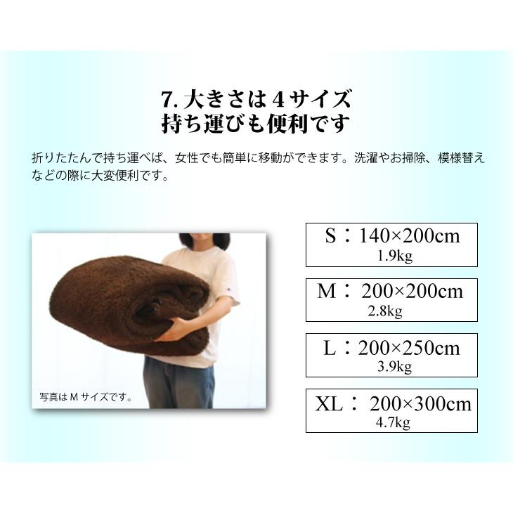フリーリー ラグ カーペット シャギーラグ シェニール 洗える フリーリー ラグ カーペット シャギーラグ シェニール 洗える