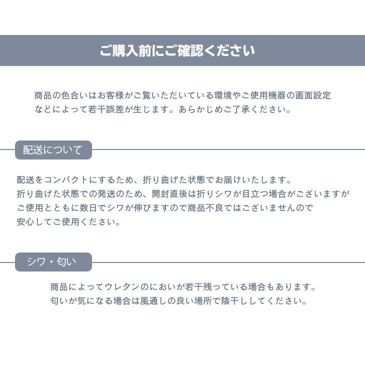 ラグ カーペット 厚手 低反発ラグ 極厚 25mm 200×250 3畳 ラグマット オールシーズン 春 夏  防音 絨毯 おしゃれ 抗菌 防ダニ フリーリー｜freelife｜21