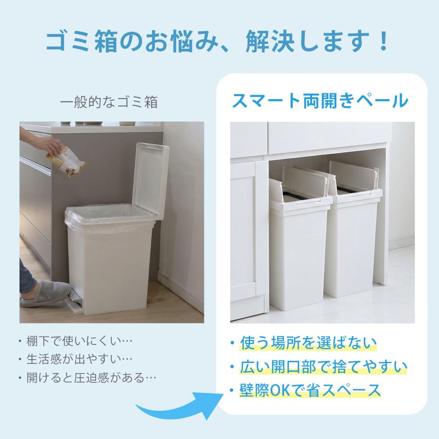 ゴミ箱 ダストボックス キッチン リビング 分別 2分割 両開き 観音開き
