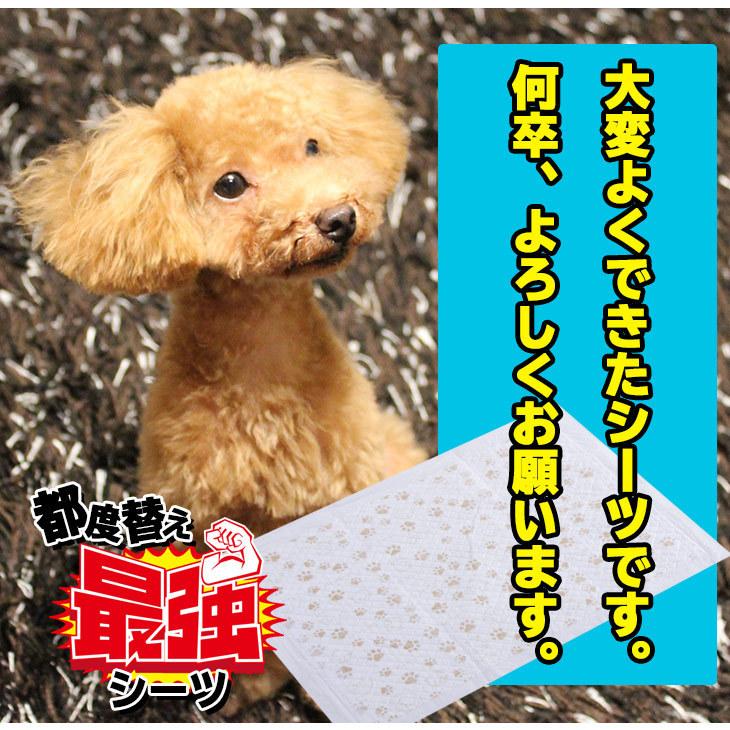 FREE LIFE ペットシーツ レギュラー1200枚 ワイド600枚 スーパー