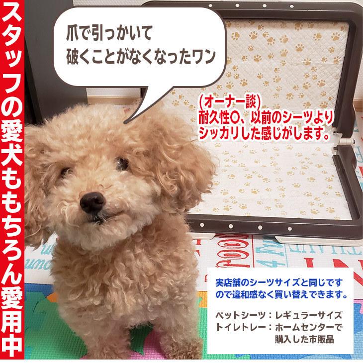 FREE LIFE ペットシーツ レギュラー1200枚 ワイド600枚 スーパー