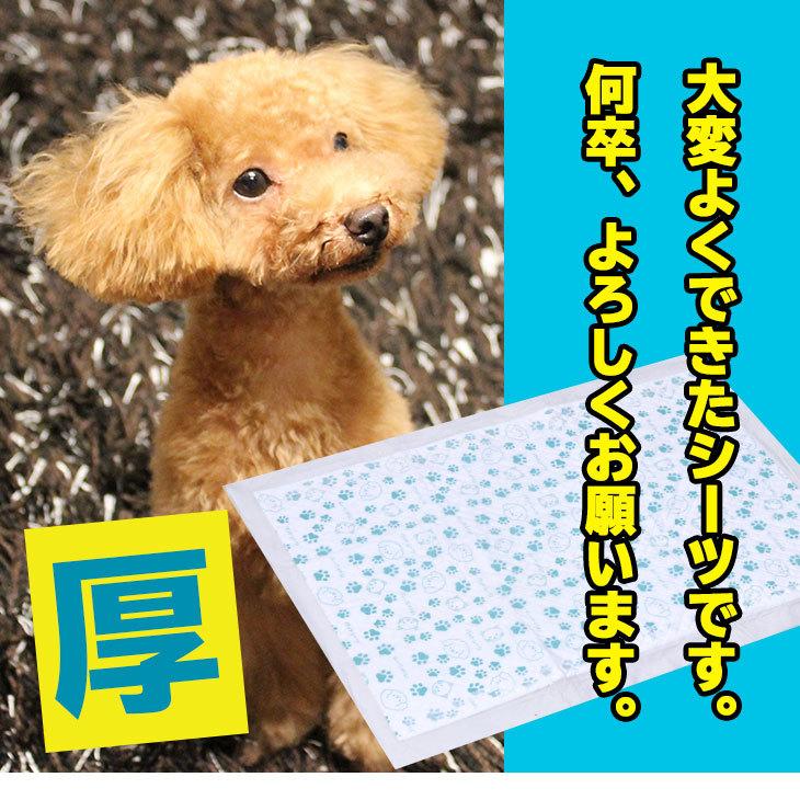 FREE LIFE（フリーライフ） ペットシーツ レギュラー400枚 ワイド200枚