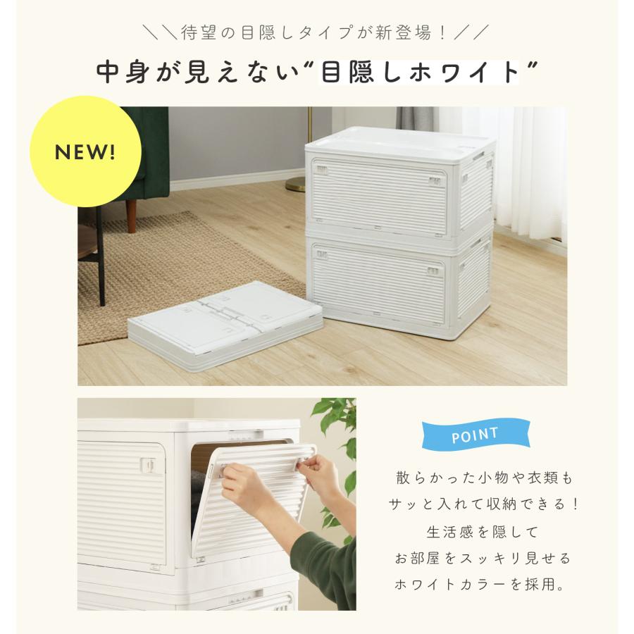 FREE LIFE（フリーライフ） 収納ボックス 収納ケース L 53L 2個 セット