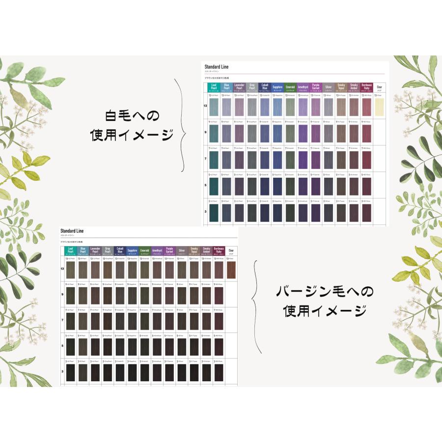 ORDEVE（オルディーブ） ミルボン アディクシー スタンダードライン