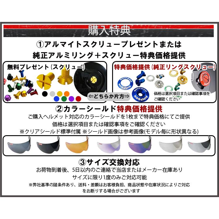 SIMPSON（シンプソン） シンプソンヘルメット モデル30 M30 LIME GREEN