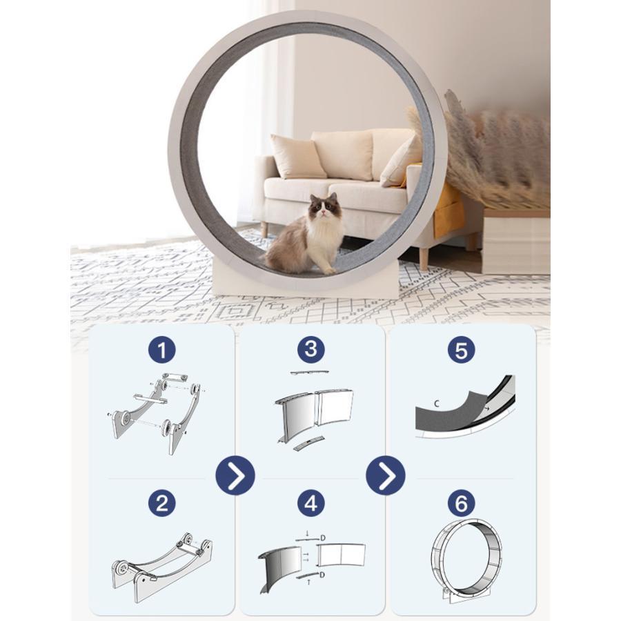 キャットホイール 猫の車輪 猫の回し車 猫のトレッドミルの車輪 猫のエクササイズホイール 猫ローラー ペット用トレッドミル 歩く猫フィットネス 猫のおもちゃ キャットホイール 猫の車輪 猫の回し車 猫のトレッドミルの車輪 猫のエクササイズホイール 猫ローラー ペット用トレッドミル 歩く猫フィットネス 猫のおもちゃ