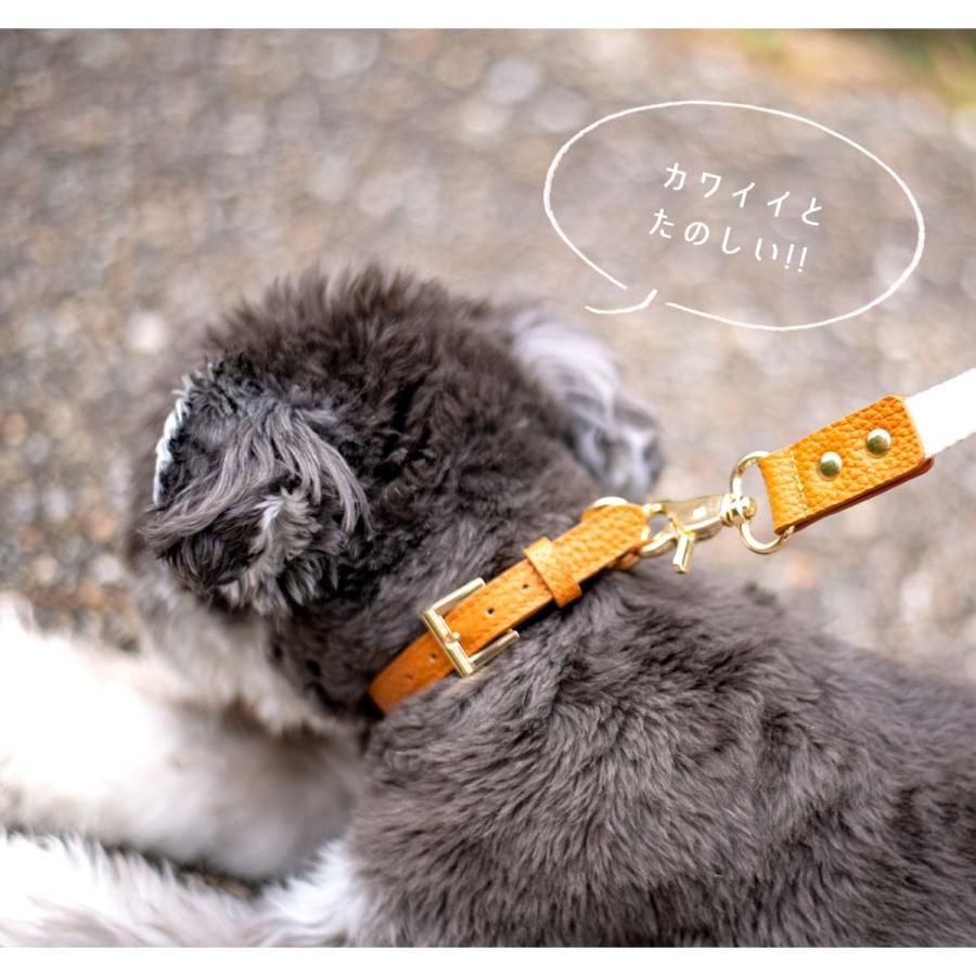 首輪 犬 小型犬 レザー 牛革 おしゃれ かわいい 中型犬 軽い Dカン トイプードル チワワ ミニチュアダックス 柴犬 猫 ペット用品 Raficaro ブランド Otz7330 Freeozone 通販 Yahoo ショッピング