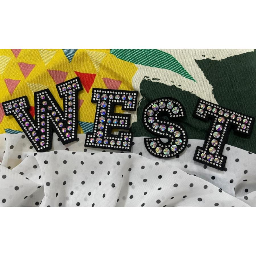 FREES ブローチ　アルファベットオーロラ　FBR-010　縦62ｍｍ　高級ラインストーン　日本製 |  | 12