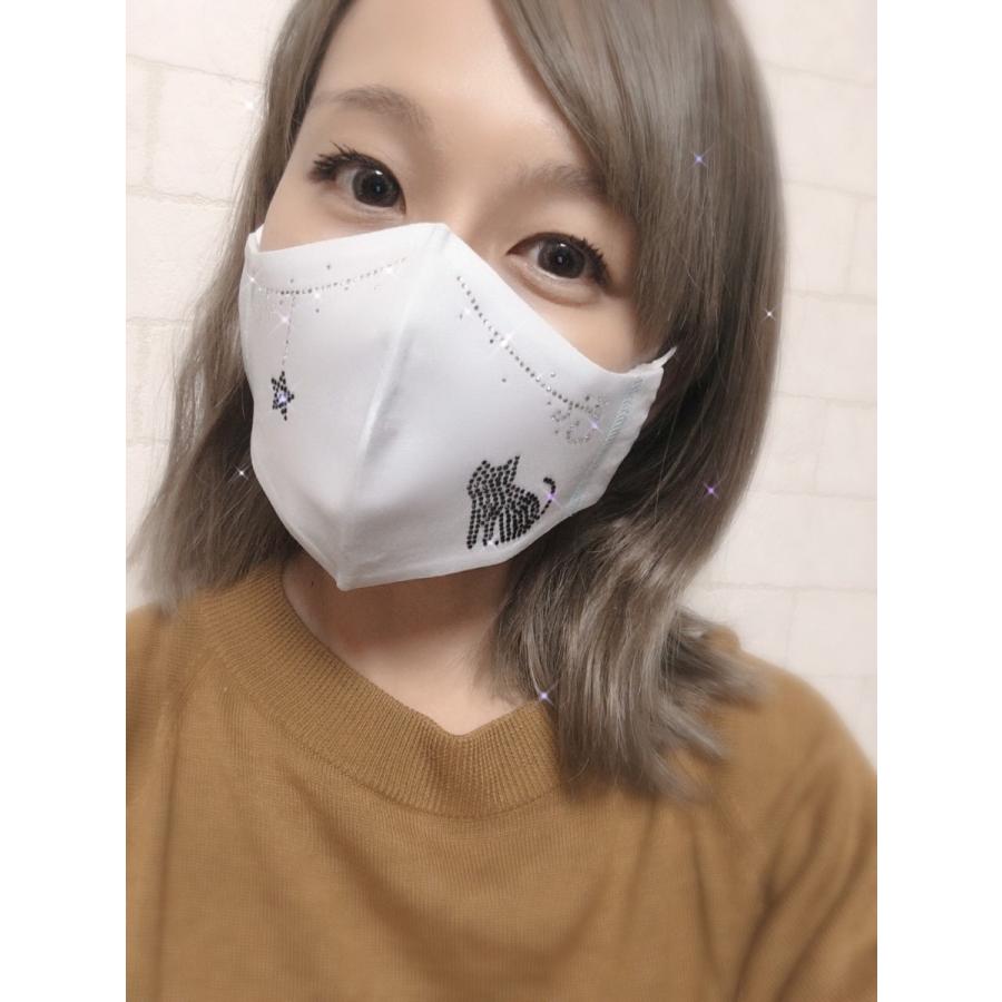 FREES036 メルヘンキャット 100回洗える 日本製 高機能　厚生省令第34号基準以下　花粉粒子補修効率96パーセントJIS対応 三層構造不織布使用 | 