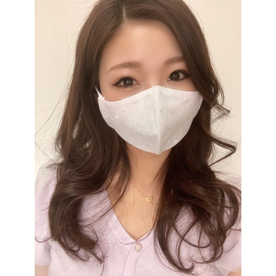 FREES052 スターライト100回洗える 日本製 高機能　厚生省令第34号基準以下　花粉粒子補修効率96パーセントJIS対応 三層構造不織布使用 |  | 02