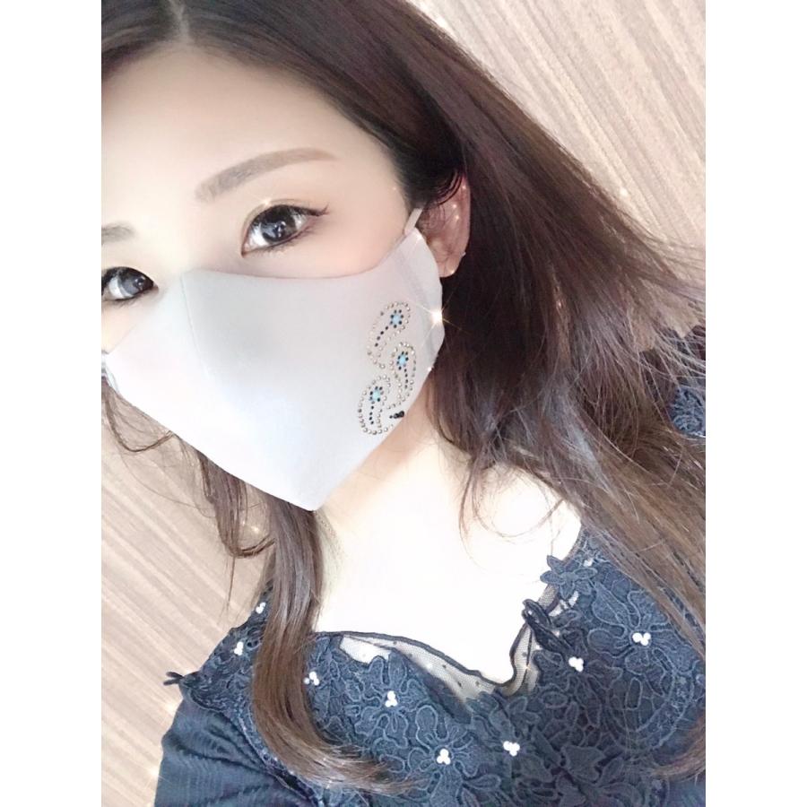 FREES013 ペーズリーラインストーン100回洗える 日本製 高機能　厚生省令第34号基準以下　花粉粒子補修効率96パーセントJIS対応 三層構造不織布使用 |  | 11