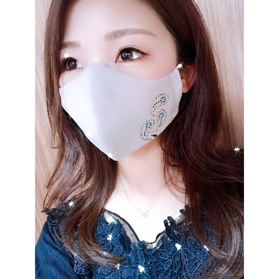 FREES013 ペーズリーラインストーン100回洗える 日本製 高機能　厚生省令第34号基準以下　花粉粒子補修効率96パーセントJIS対応 三層構造不織布使用 |  | 13