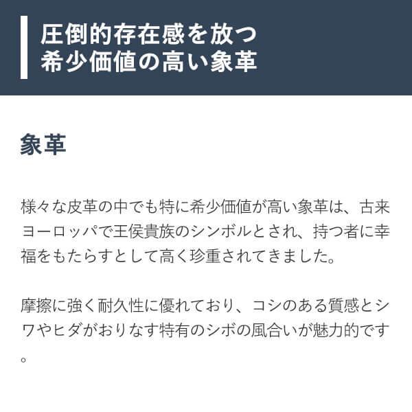 ズー ワラビー キーケース スマートキーケース ZKC-032 ZOO 爆買 クリスマス ギフト | ZOO（レザー） | 10