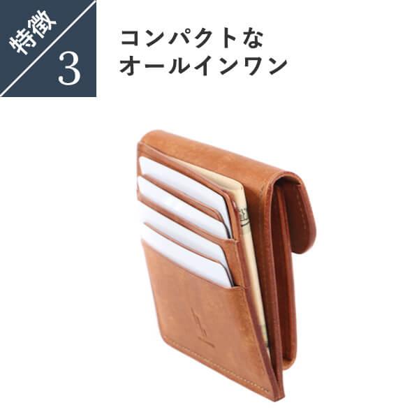 アッカ・ボッテガ Strato ストラート プエブロ コンパクトマルチ