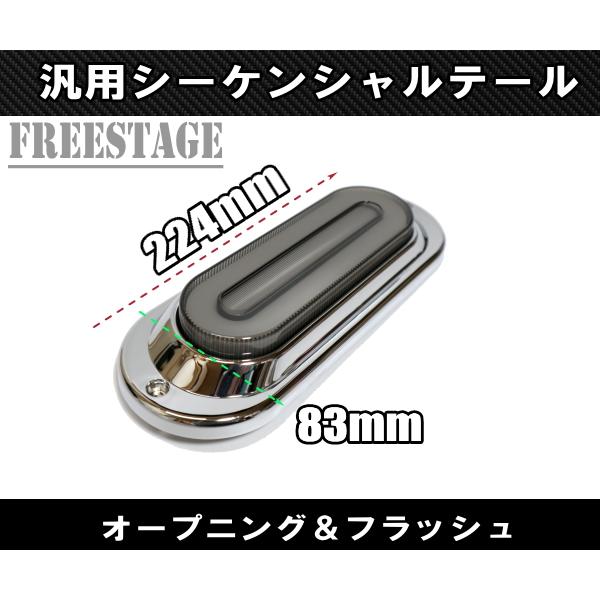 汎用LED テールランプ シーケンシャルウィンカー内蔵 12/24V対応