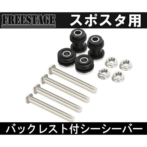 SPORTSTER ハーレースポーツスター用デタッチャブルシーシーバーバック