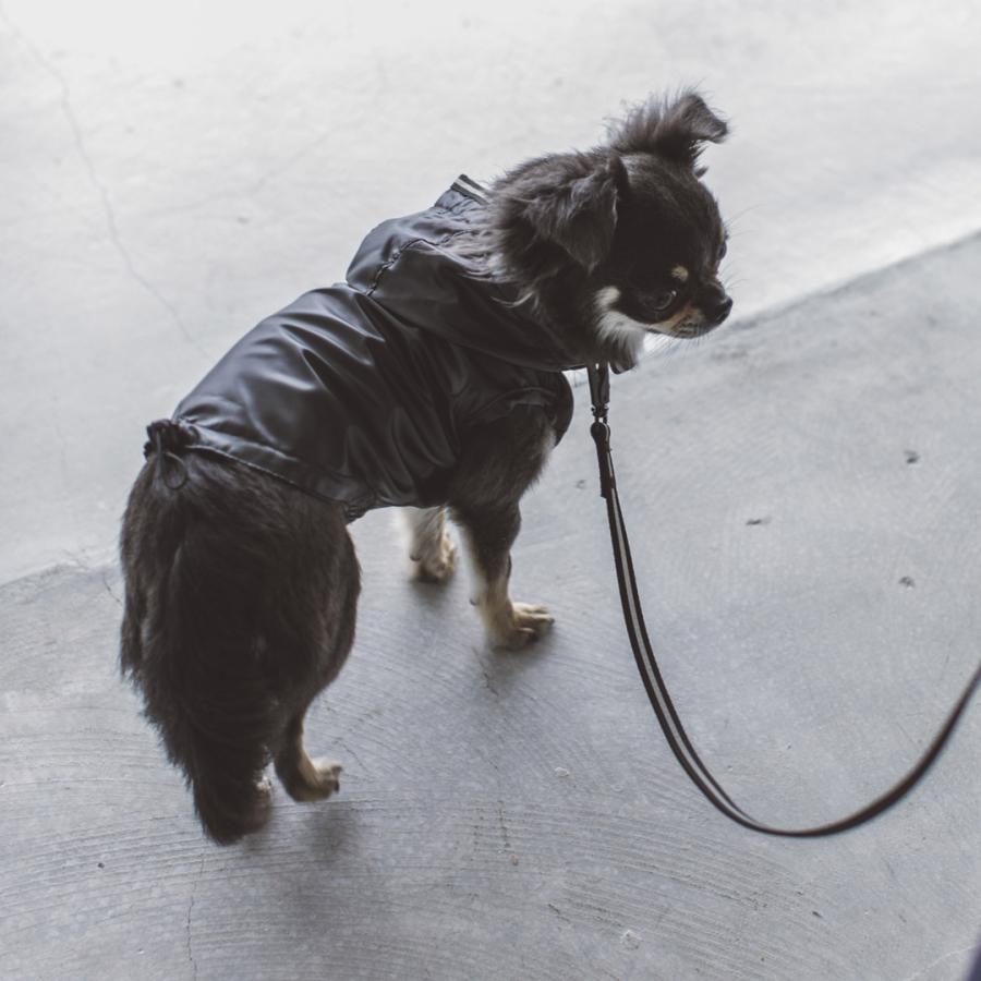 シャイニーレインコート S / M 犬 レイン 雨 かっぱ 雨具 アウトドア