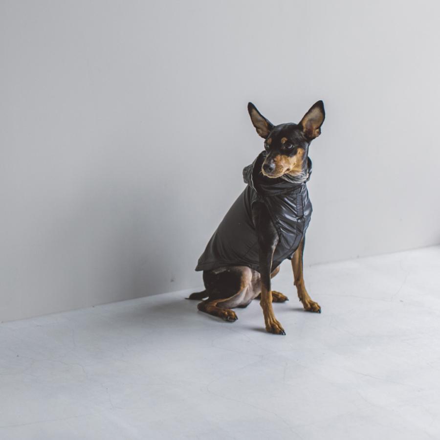 シャイニーレインコート S / M 犬 レイン 雨 かっぱ 雨具 アウトドア