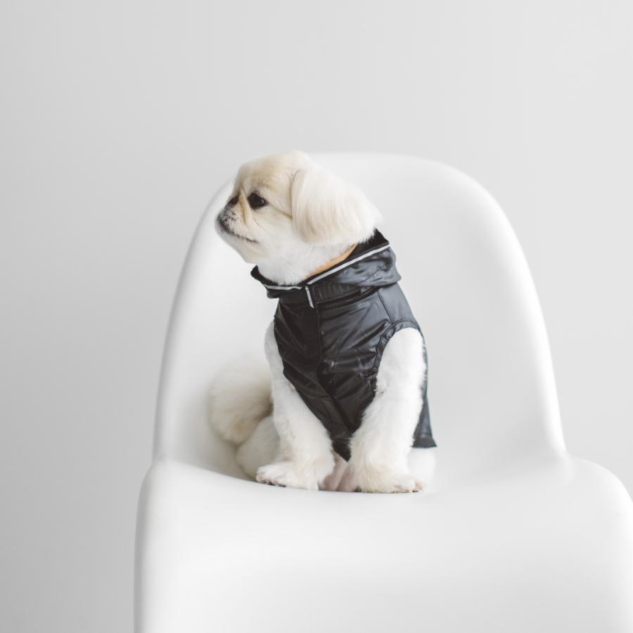 シャイニーレインコート S / M 犬 レイン 雨 かっぱ 雨具 アウトドア