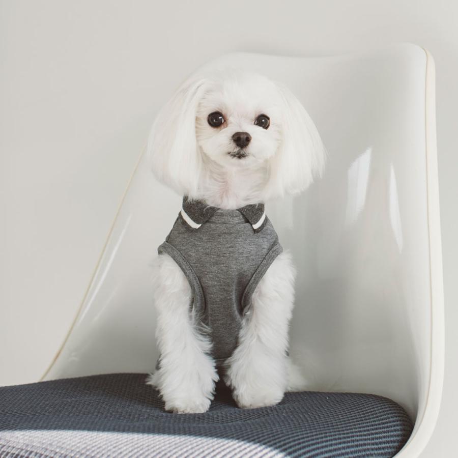 ハンドメイド犬服【ぽっち】 ほちちちゃん♡ ハンドメイド 犬服 犬の服