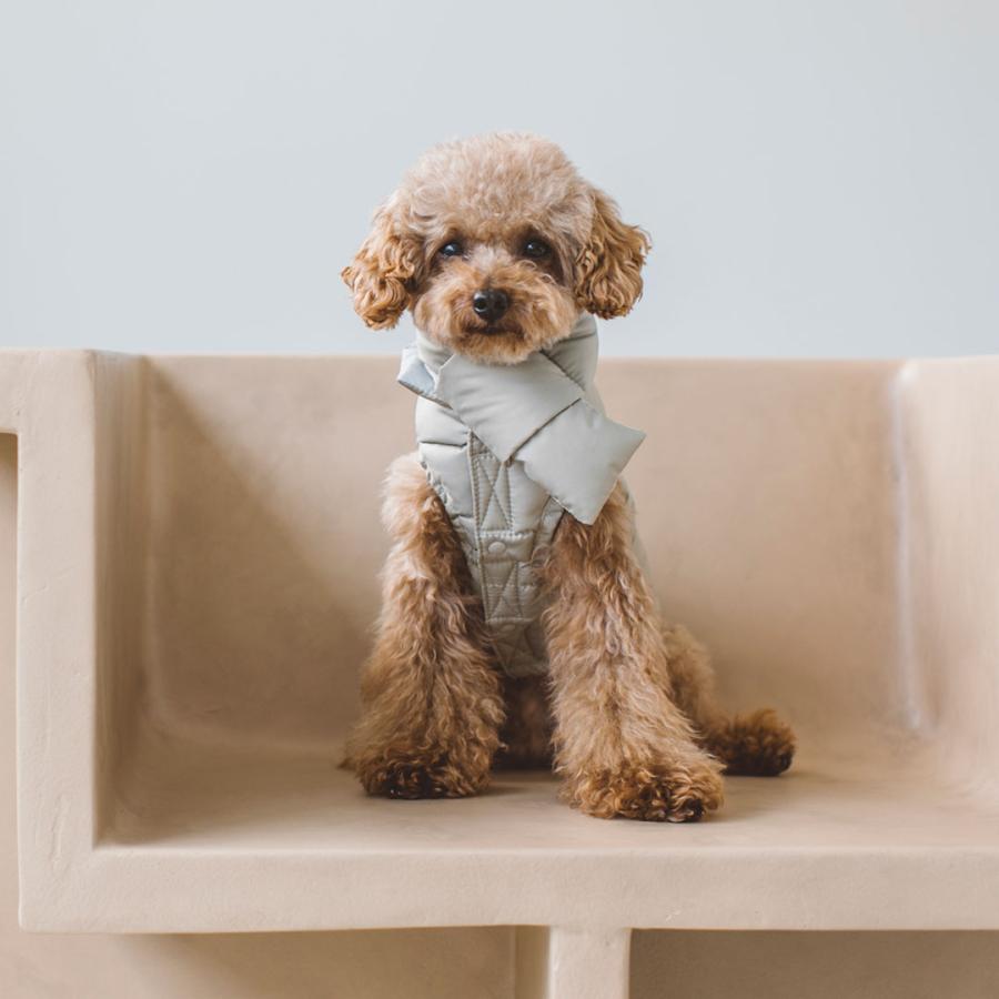 ダックダウン ジャケット＆マフラー セット S / M おしゃれ シンプ 犬