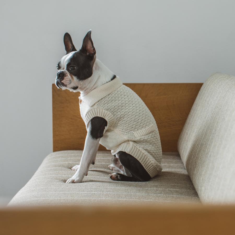 オーガニックポップコーンニット L / LL ウェア 犬服 ドッグ ペット 子犬 セーター かわいい オーガニック シンプル 国産 日本 おしゃれ 旅行の画像