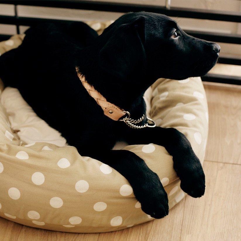 ウォッシャブルラウンドベッド L ドッグベッド 犬 猫 シンプル 大型犬