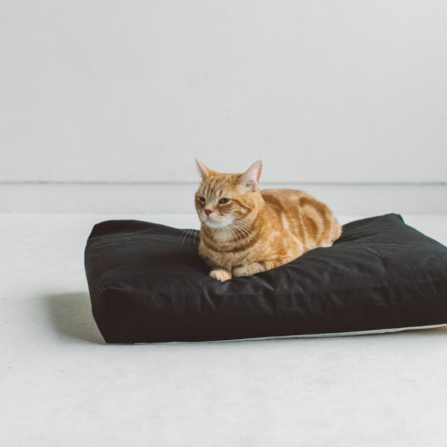 コットンリネンスクエアベッド M ペットベッド 春夏 ペットマット ペットクッション 犬 ドッグ 室内 おしゃれ シンプル 小中型犬 大型犬 洗えるの画像