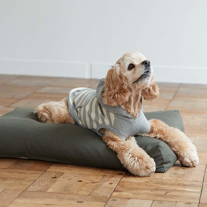 コットンリネンスクエアベッド M ペットベッド 春夏 ペットマット ペットクッション 犬 ドッグ 室内 おしゃれ シンプル 小中型犬 大型犬 洗えるの画像